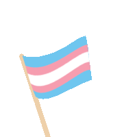 trans